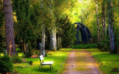 What Are My Property Rights As A Surviving Spouse?